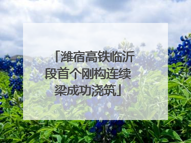 潍宿高铁临沂段首个刚构连续梁成功浇筑