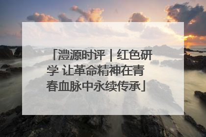 澧源时评｜红色研学 让革命精神在青春血脉中永续传承