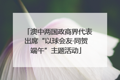 澳中两国政商界代表出席“以球会友·同贺端午”主题活动