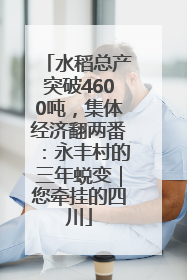 水稻总产突破4600吨，集体经济翻两番：永丰村的三年蜕变｜您牵挂的四川