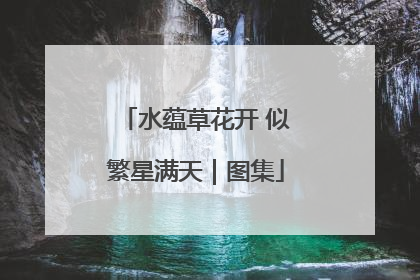 水蕴草花开 似繁星满天｜图集