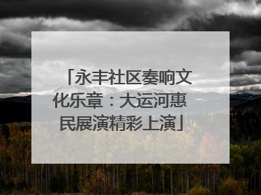 永丰社区奏响文化乐章：大运河惠民展演精彩上演