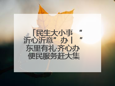 民生大小事 “沂心沂意”办丨“东里有礼·齐心办 便民服务赶大集”——淄博市沂源县开展民生政策宣传活动