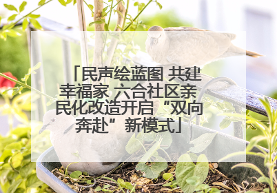 民声绘蓝图 共建幸福家 六合社区亲民化改造开启“双向奔赴”新模式