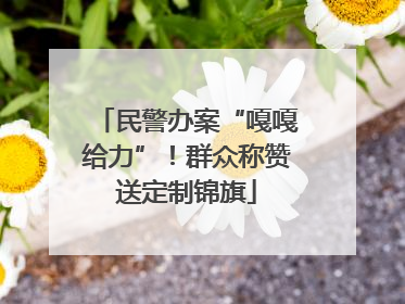 民警办案“嘎嘎给力”！群众称赞送定制锦旗