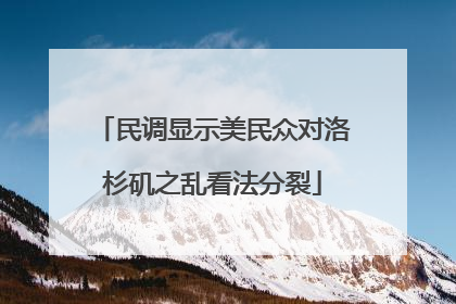 民调显示美民众对洛杉矶之乱看法分裂