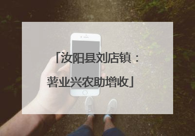 汝阳县刘店镇：薯业兴农助增收