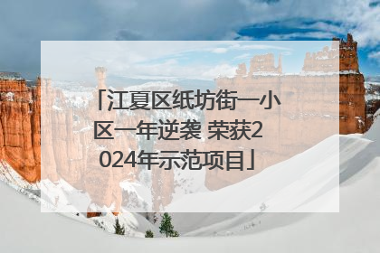 江夏区纸坊街一小区一年逆袭 荣获2024年示范项目