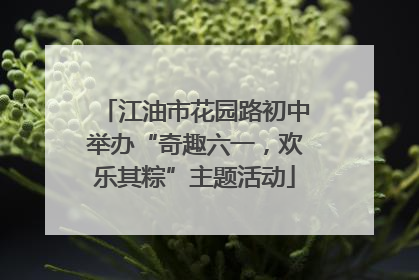 江油市花园路初中举办“奇趣六一，欢乐其粽”主题活动