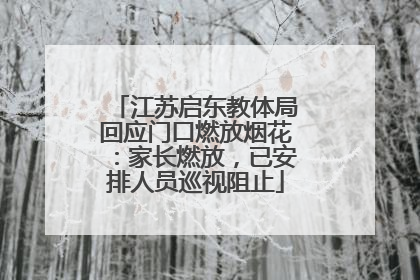 江苏启东教体局回应门口燃放烟花：家长燃放，已安排人员巡视阻止