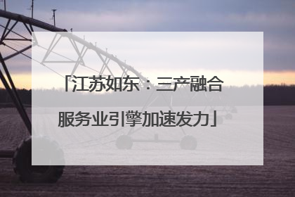 江苏如东：三产融合 服务业引擎加速发力