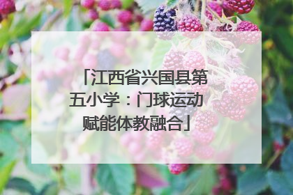 江西省兴国县第五小学：门球运动赋能体教融合