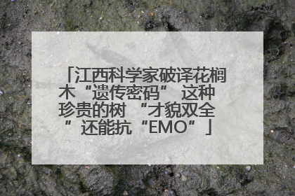 江西科学家破译花榈木“遗传密码” 这种珍贵的树 “才貌双全”还能抗“EMO”