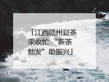 江西赣州夏茶采收忙 “新茶勃发”助振兴