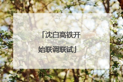 沈白高铁开始联调联试
