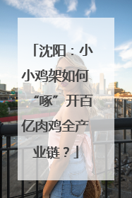 沈阳：小小鸡架如何“啄”开百亿肉鸡全产业链？