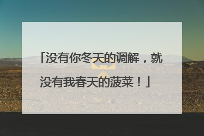 没有你冬天的调解，就没有我春天的菠菜！