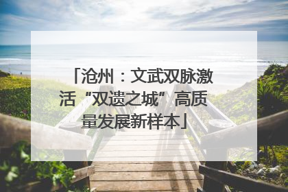 沧州：文武双脉激活“双遗之城”高质量发展新样本