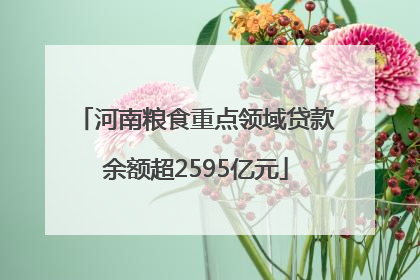河南粮食重点领域贷款余额超2595亿元