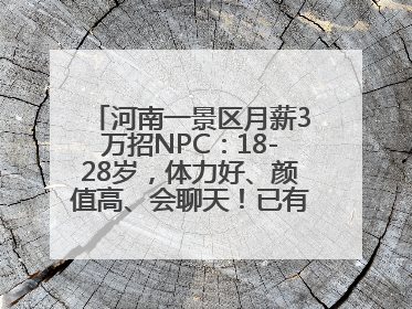 河南一景区月薪3万招NPC：18-28岁，体力好、颜值高、会聊天！已有1000多人应聘