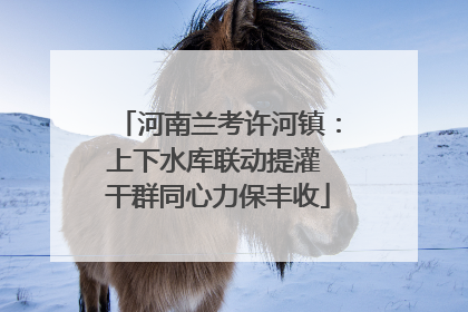 河南兰考许河镇：上下水库联动提灌 干群同心力保丰收