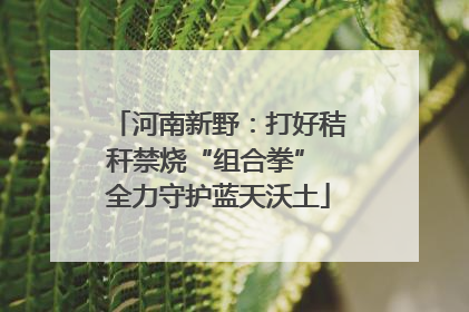 河南新野：打好秸秆禁烧“组合拳” 全力守护蓝天沃土