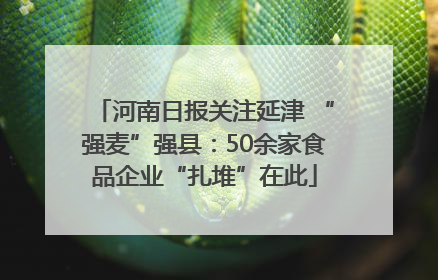 河南日报关注延津 “强麦”强县：50余家食品企业“扎堆”在此