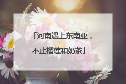 河南遇上东南亚，不止榴莲和奶茶