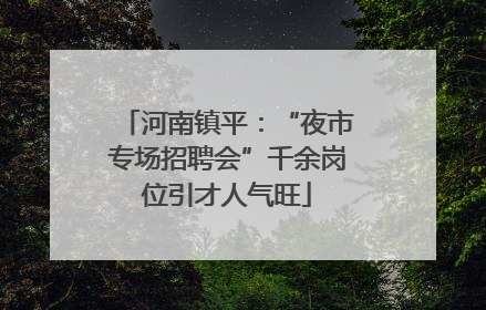 河南镇平：“夜市专场招聘会”千余岗位引才人气旺