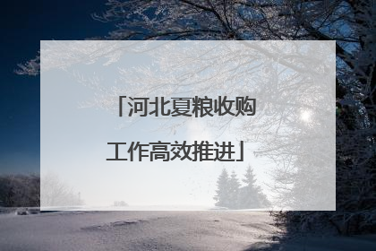 河北夏粮收购工作高效推进