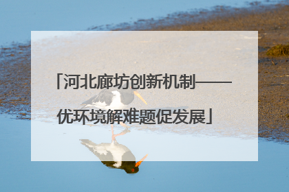 河北廊坊创新机制——优环境解难题促发展