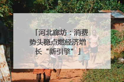 河北廊坊：消费势头稳点燃经济增长“新引擎”