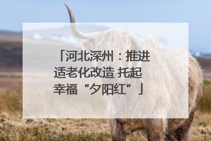 河北深州：推进适老化改造 托起幸福“夕阳红”
