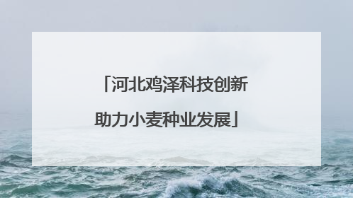 河北鸡泽科技创新助力小麦种业发展