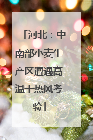 河北：中南部小麦生产区遭遇高温干热风考验
