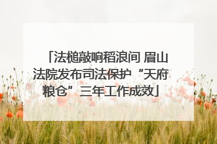 法槌敲响稻浪间 眉山法院发布司法保护“天府粮仓”三年工作成效