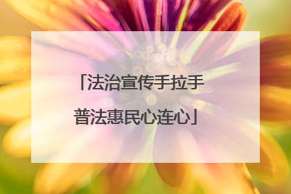 法治宣传手拉手 普法惠民心连心