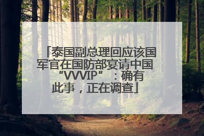 泰国副总理回应该国军官在国防部宴请中国“VVVIP”：确有此事，正在调查