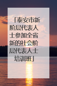 泰安市新阶层代表人士参加全省新的社会阶层代表人士培训班