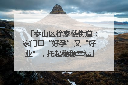 泰山区徐家楼街道：家门口“好孕”又“好业”，托起稳稳幸福