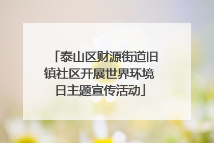 泰山区财源街道旧镇社区开展世界环境日主题宣传活动