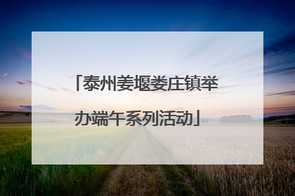 泰州姜堰娄庄镇举办端午系列活动
