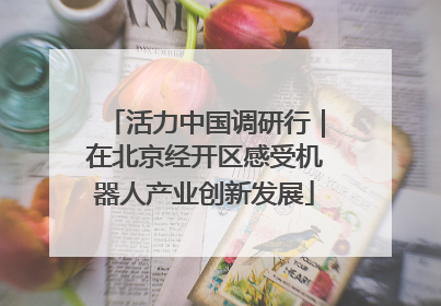 活力中国调研行｜在北京经开区感受机器人产业创新发展