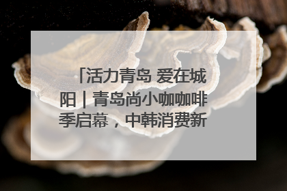 活力青岛 爱在城阳｜青岛尚小咖咖啡季启幕，中韩消费新场景点燃夏日热情