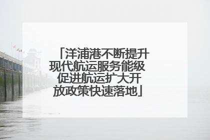 洋浦港不断提升现代航运服务能级 促进航运扩大开放政策快速落地
