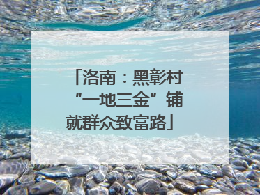 洛南：黑彰村“一地三金”铺就群众致富路