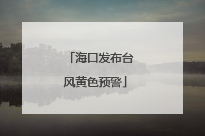 海口发布台风黄色预警