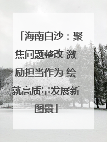 海南白沙：聚焦问题整改 激励担当作为 绘就高质量发展新图景