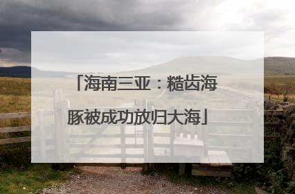 海南三亚：糙齿海豚被成功放归大海
