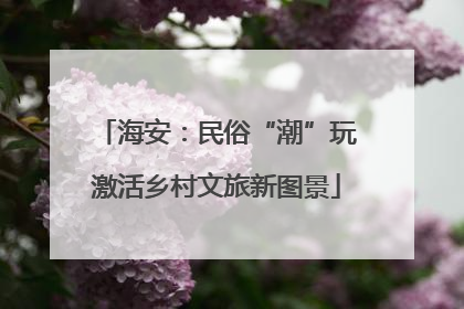 海安：民俗“潮”玩激活乡村文旅新图景